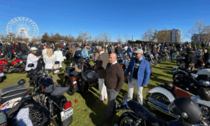 A large crowd gathers at the Distinguished Gentlemans Ride 2025 South Africa on a sunny day, with dozens of classic and modern motorcycles parked on the grass. People chat and admire the bikes, while a Ferris wheel stands tall in the background.