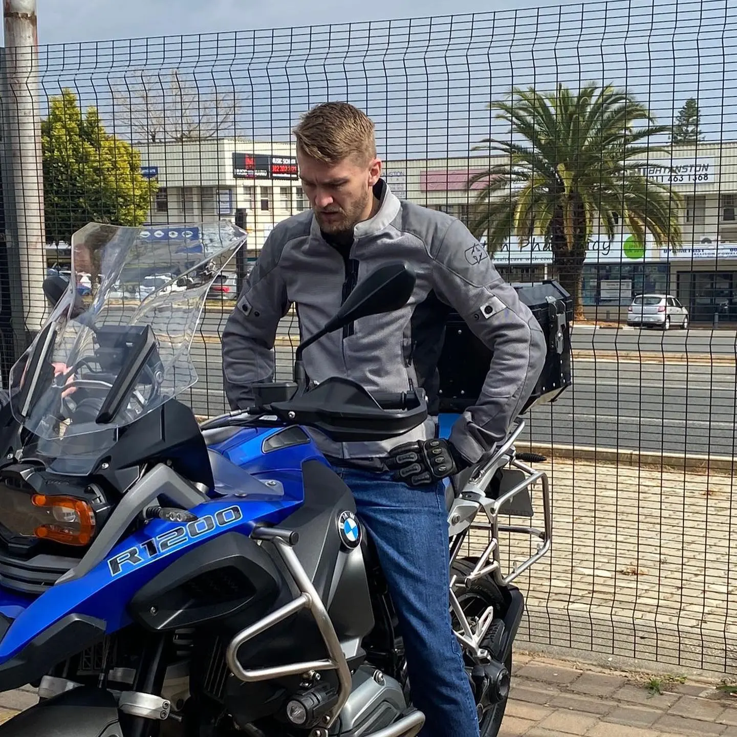 Photo by Jean Claude Murphy: Looking for a new steed to enjoy new adventures.
