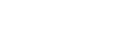 Daily Rider ZA